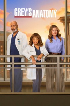 poster Grey's Anatomy - Season 04