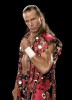 photo Shawn Michaels