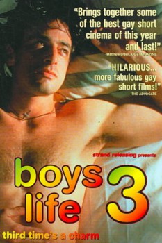 poster Boys Life 3  (2000)