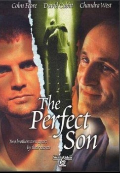 poster The Perfect Son  (2000)