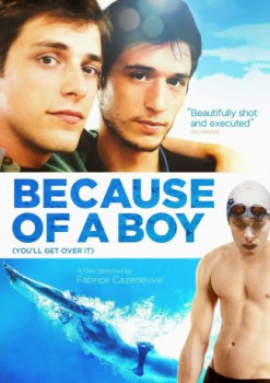 poster Because of a Boy  (2002)