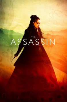 poster The Assassin  (2015)