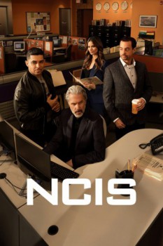 poster NCIS - Season 08&nbsp;&nbsp;(2003)