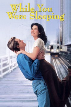 poster While You Were Sleeping