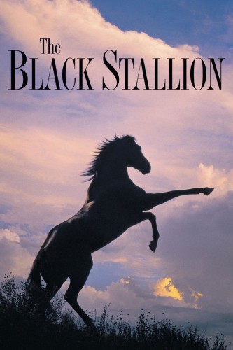 poster The Black Stallion&nbsp;&nbsp;(1979)