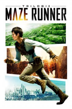 poster The Maze Runner Collection