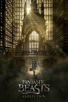 poster Fantastic Beasts Collection