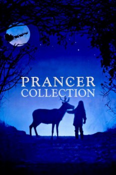 poster Prancer Collection